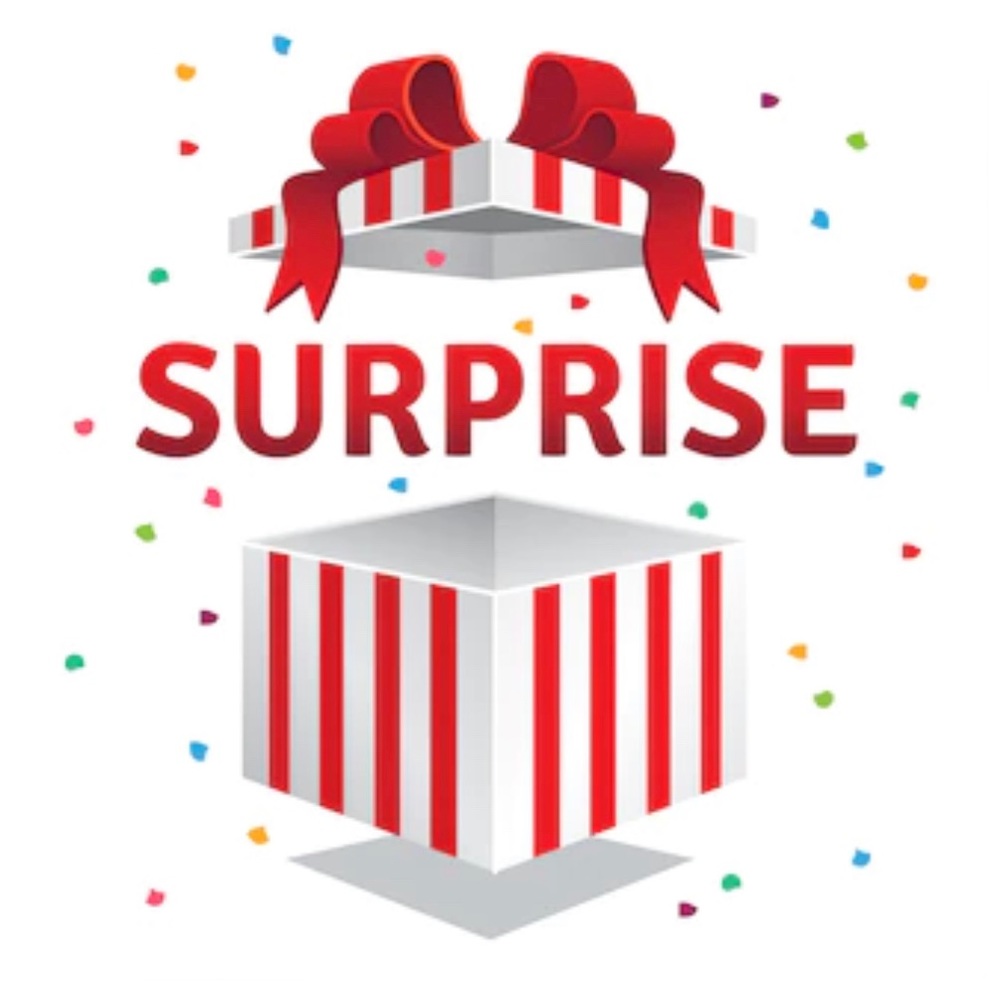 🌻 Mystery Box of 2 Rompers 🌻